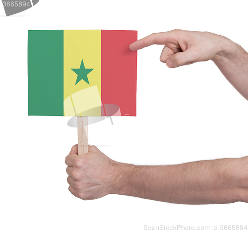 Image of Hand holding small card - Flag of Senegal