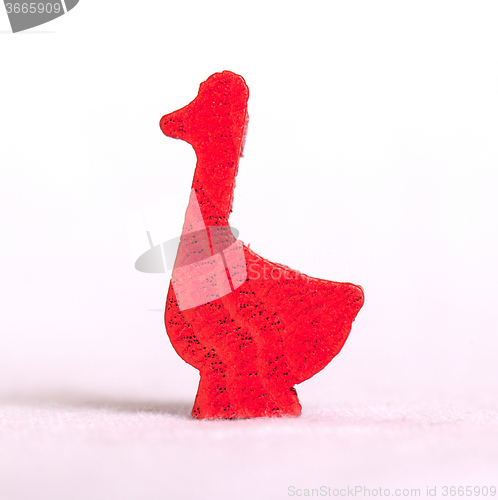 Image of Wooden duck isolated