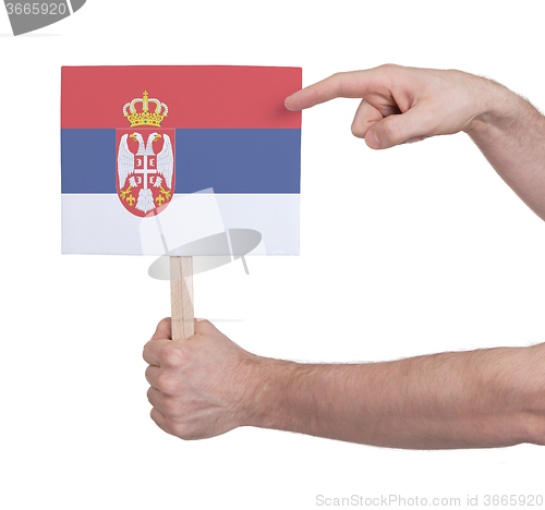 Image of Hand holding small card - Flag of Serbia