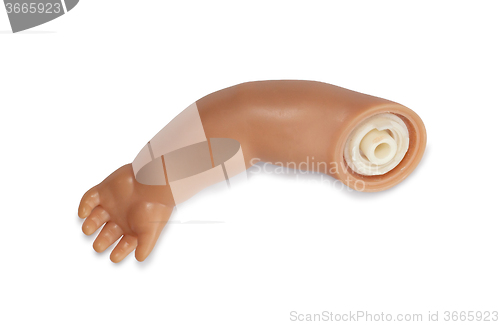 Image of Separated arm of a doll