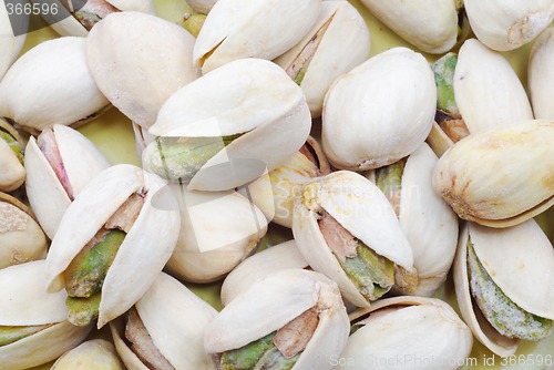 Image of Pistachio