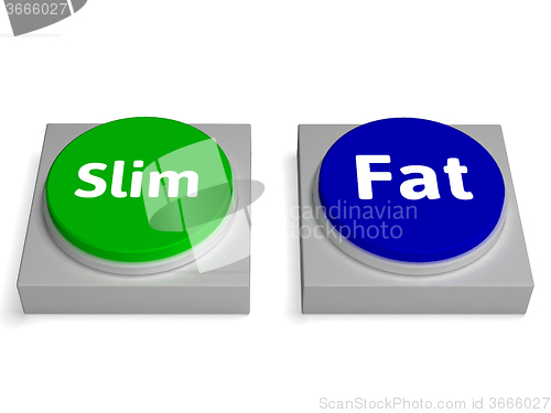 Image of Slim Fat Buttons Shows Thin Or Overweight