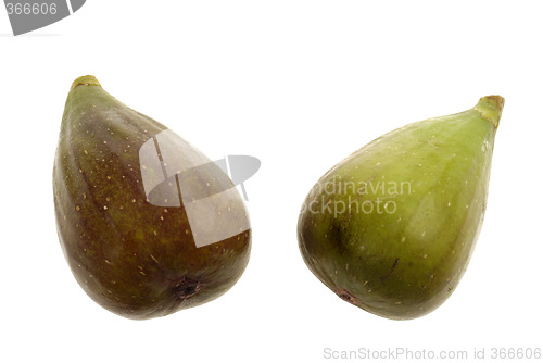 Image of Two Figs