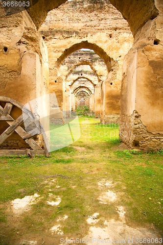 Image of   the green grass and   wall