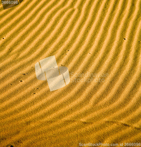 Image of the brown sand dune in the sahara morocco desert 