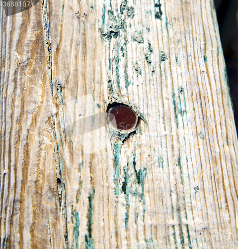 Image of metal nail dirty stripped paint in the brown wood door and rusty