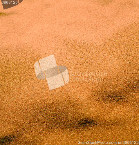 Image of the brown sand dune in the sahara morocco desert 