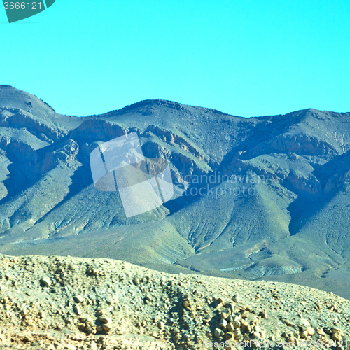 Image of bush  in    valley  morocco     africa the atlas dry mountain  