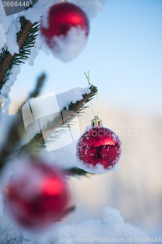 Image of christmas balls on tree