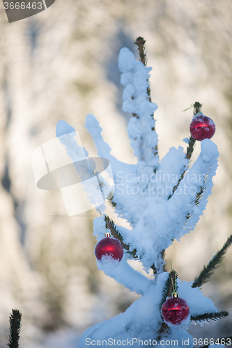 Image of christmas balls on tree