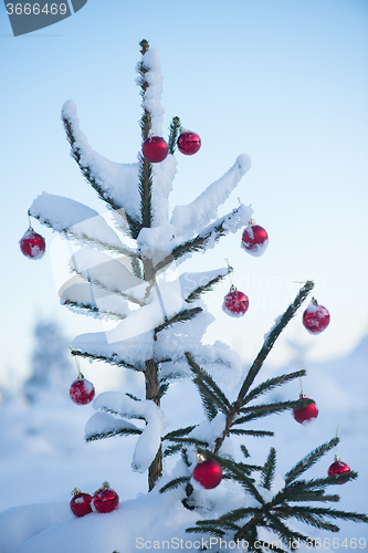Image of christmas balls on tree