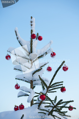 Image of christmas balls on tree