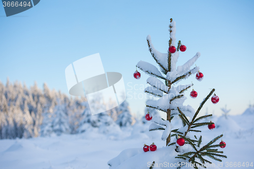 Image of christmas balls on tree