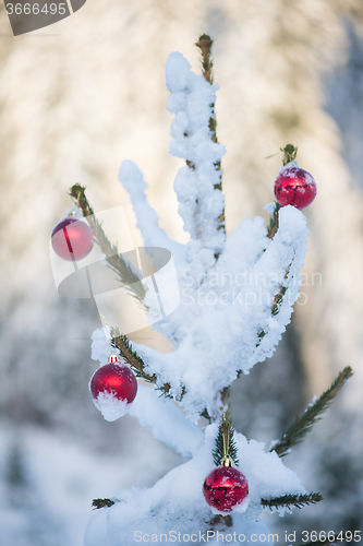 Image of christmas balls on tree