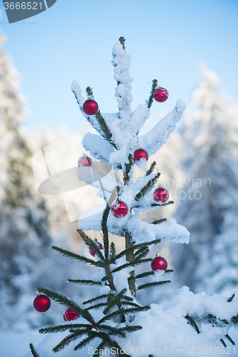 Image of christmas balls on tree