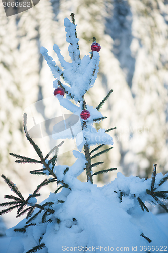 Image of christmas balls on tree