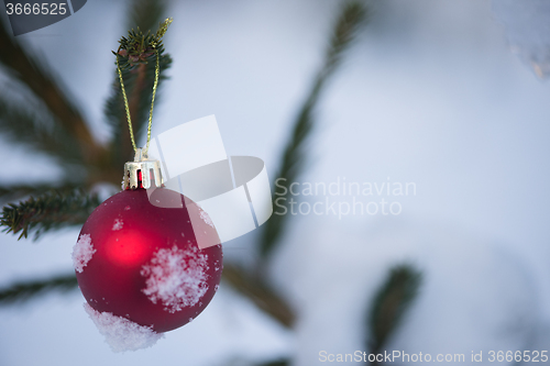 Image of christmas balls on tree