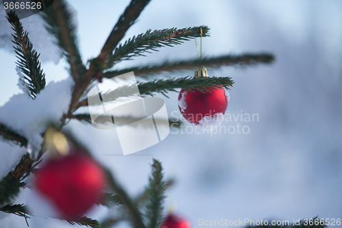 Image of christmas balls on tree