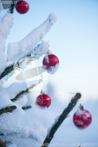 Image of christmas balls on tree