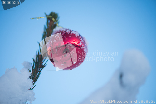 Image of christmas balls on tree