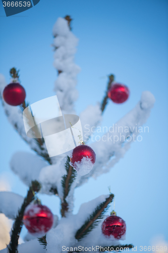 Image of christmas balls on tree