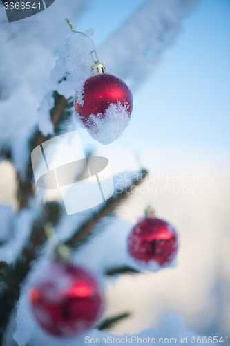 Image of christmas balls on tree