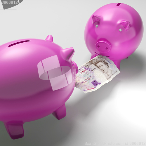 Image of Piggybanks Fighting Over Money Showing Savings