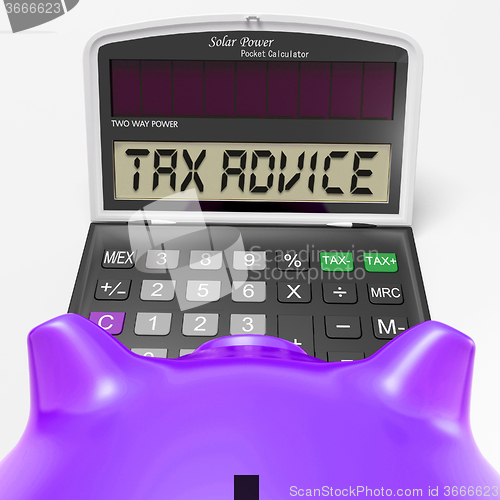 Image of Tax Advice Calculator Shows Assistance With Taxes