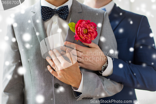 Image of close up of happy male gay couple