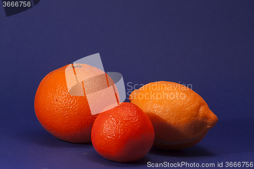 Image of citrus fruit