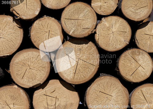 Image of Stack of firewood