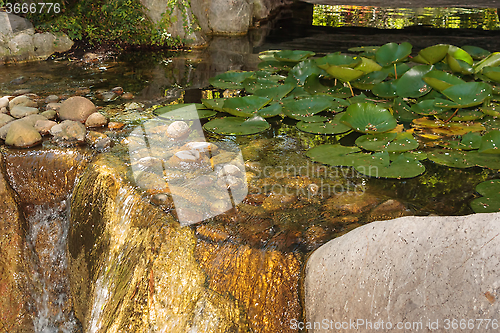 Image of Cascading Water