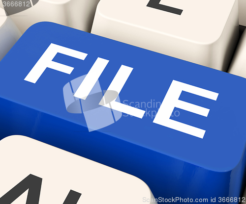 Image of File Key Means Filing Or Data Files\r