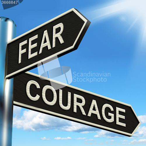 Image of Fear Courage Signpost Shows Scared Or Courageous