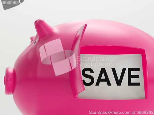 Image of Save Piggy Bank Shows Savings On Products