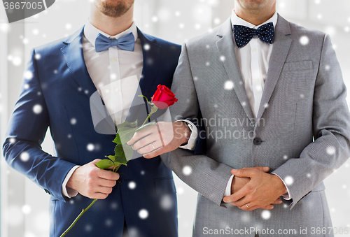 Image of close up of happy male gay couple holding hands