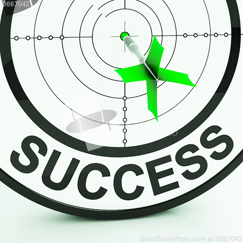 Image of Success Target Shows Achievement Strategy And Winning
