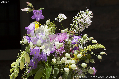 Image of Bunch of flowers