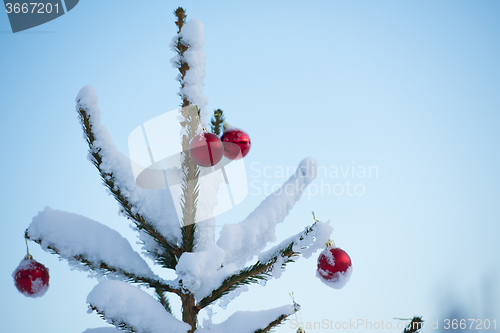 Image of christmas balls on tree