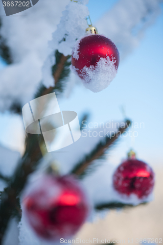 Image of christmas balls on tree