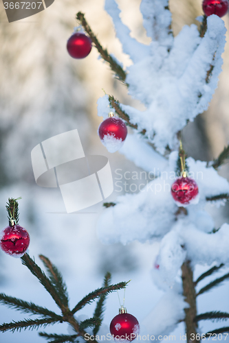 Image of christmas balls on tree