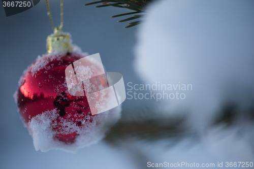 Image of christmas balls on tree