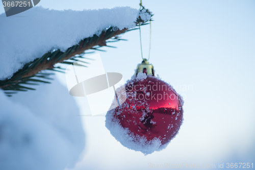 Image of christmas balls on tree