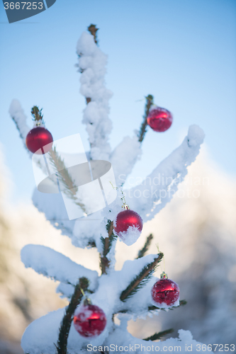 Image of christmas balls on tree