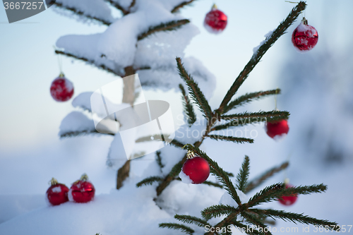 Image of christmas balls on tree