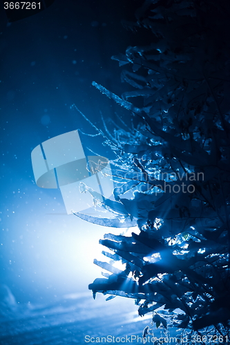 Image of tree covered with fresh snow at winter night