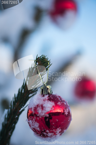 Image of christmas balls on tree