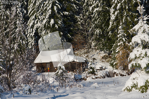 Image of small cabin covered with fresh snow