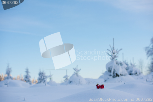 Image of christmas ball in snow