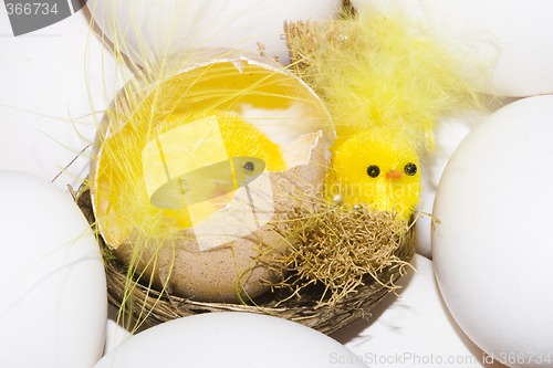 Image of Easter Chickens